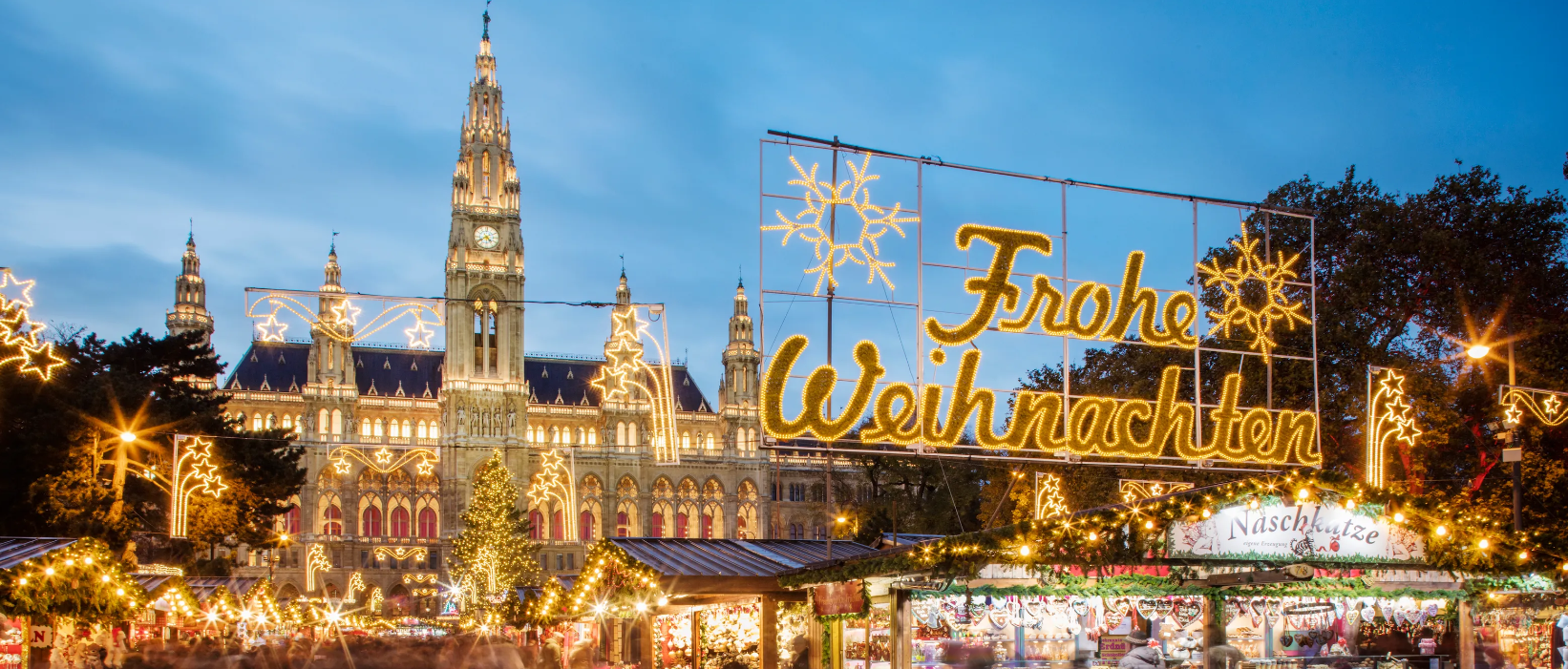 Vienna – Christmas Market Adventure